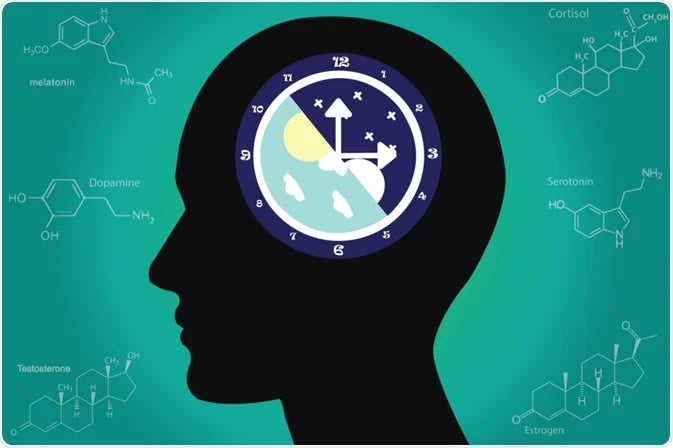 How Food, Exercise and Sleep Hygiene Impact Your Circadian Rhythm