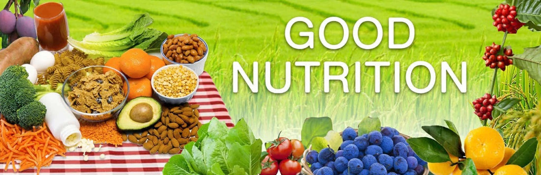 5 Principles of Good Nutrition