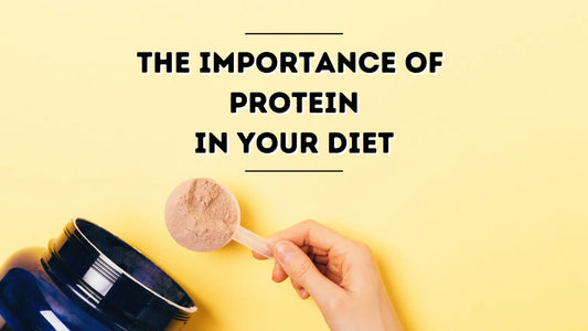 How important is Protein in Weight Loss?